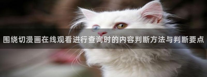 免费漫画作品分类:围绕切漫画在线观看进行查询时的内容判断方法与判断要点