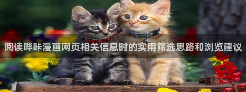 免费漫画阅读网页:阅读哔咔漫画网页相关信息时的实用筛选思路和浏览建议