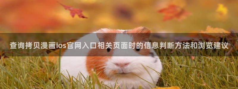 免费漫画章节更新