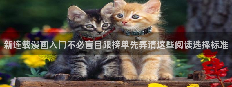 免费漫画漫画页面